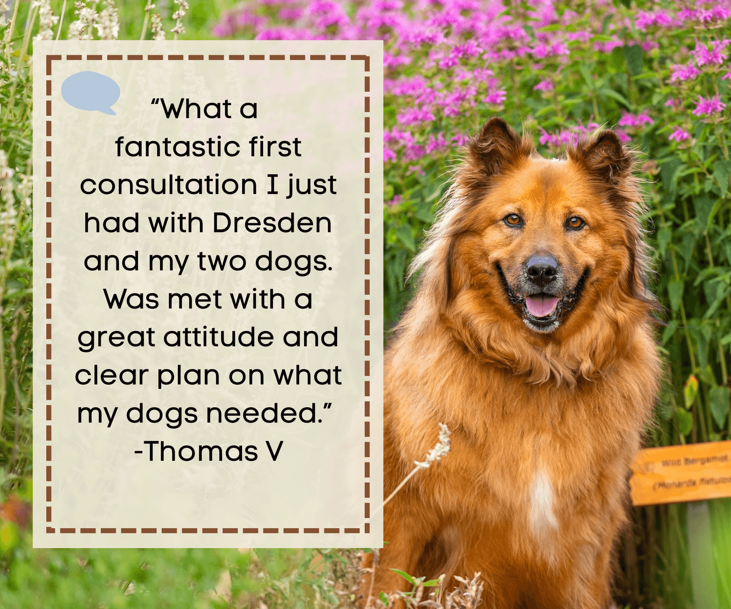 “What a  fantastic first consultation I just had with Dresden and my two dogs. Was met with a great attitude and clear plan on what my dogs needed.”  -Thomas V