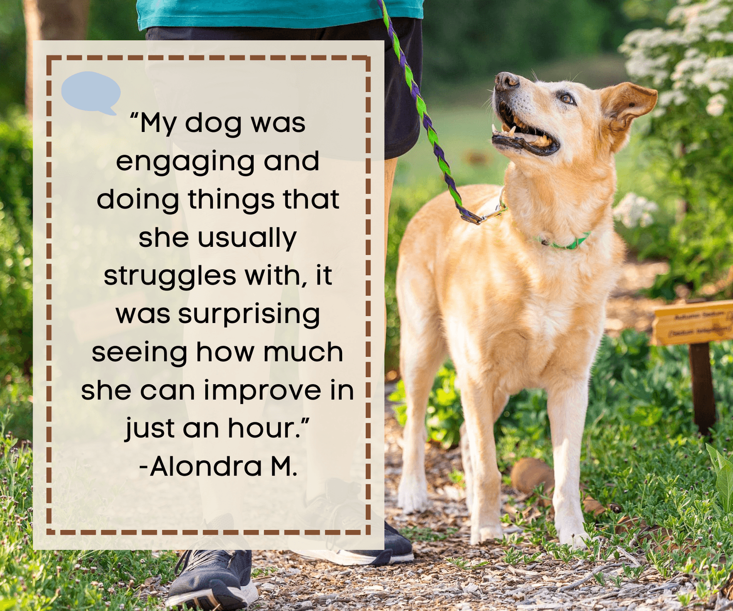 “My dog was engaging and doing things that she usually struggles with, it was surprising seeing how much she can improve in just an hour.” -Alondra M.