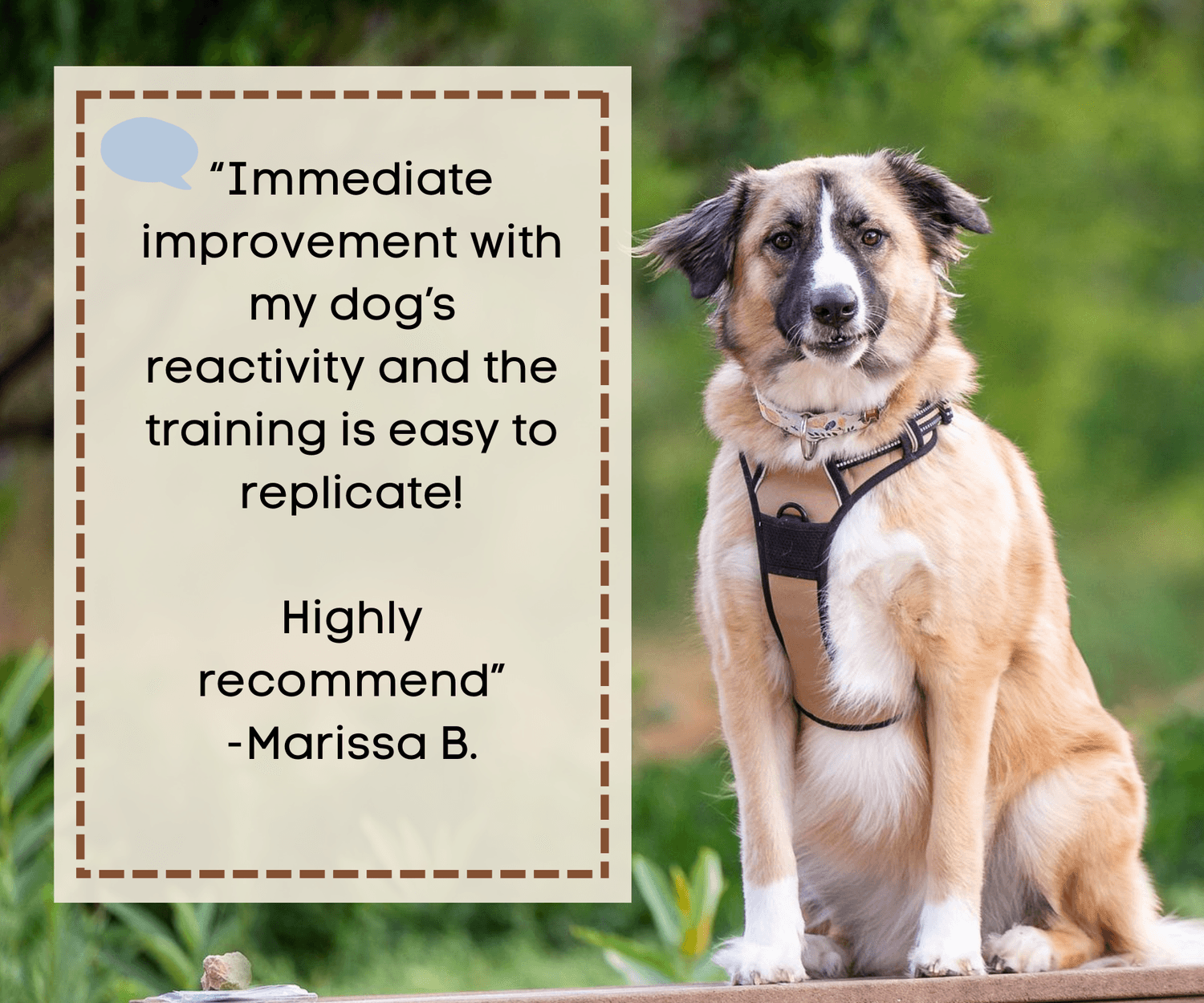 “Immediate improvement with my dog’s reactivity and the training is easy to replicate!  Highly recommend” -Marissa B. in a text box over an image of a mixed breed dog sitting and looking towards the camera