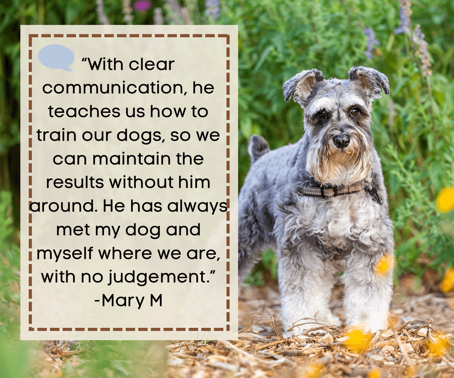 “With clear communication, he teaches us how to train our dogs, so we can maintain the results without him around. He has always met my dog and myself where we are, with no judgement.” -Mary M
