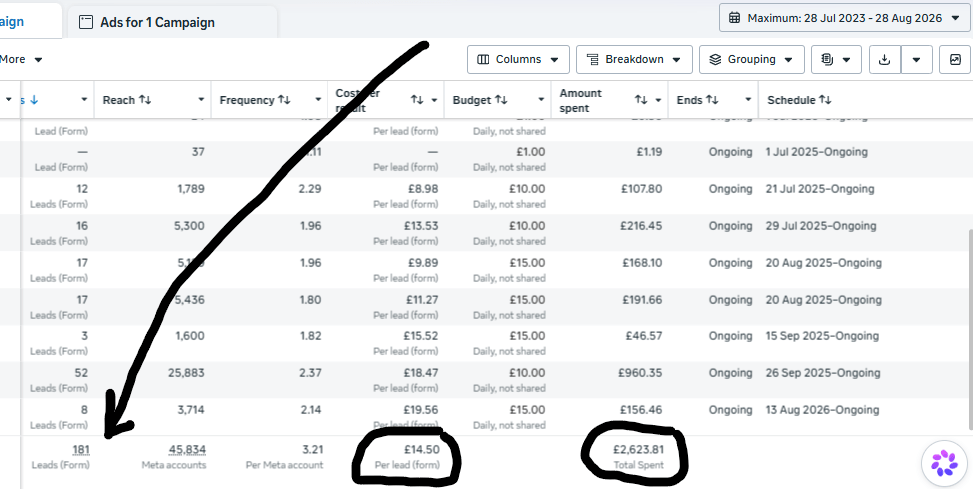 Meta advertising results for Google Ads services: 181 leads at $14.50 per lead