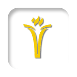 Trinity International School