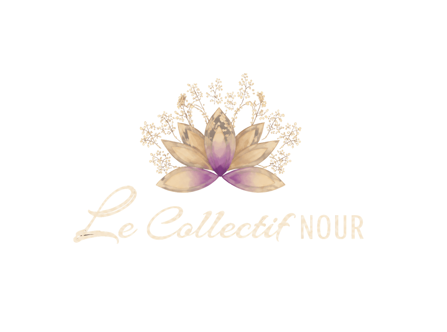 Le Collectif NOUR