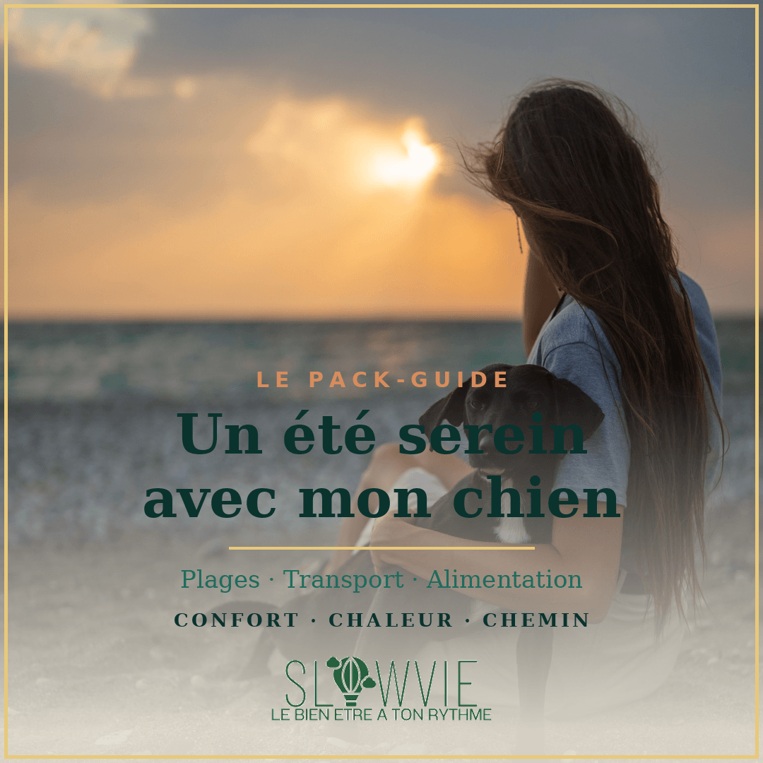 Un été serein avec mon chien