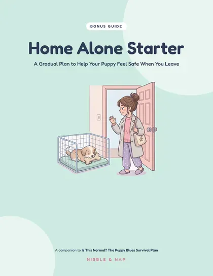 Home Alone Starter bonus guide cover