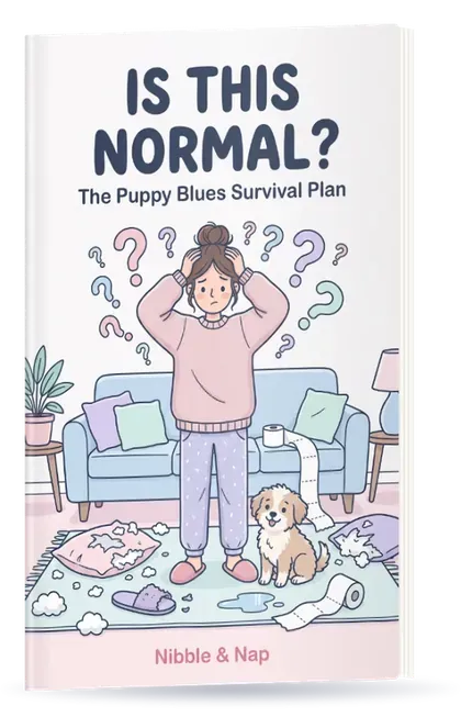 Is This Normal? ebook cover in 3D