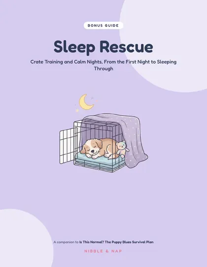 Sleep Rescue bonus guide cover