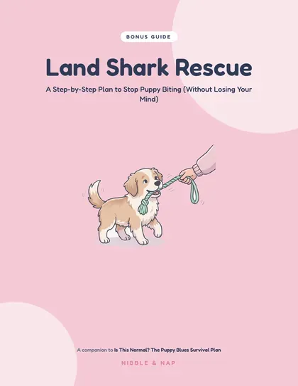 Land Shark Rescue bonus guide cover