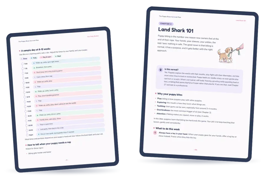 Two tablets showing pages of the book: a sample daily schedule and the Land Shark 101 chapter
