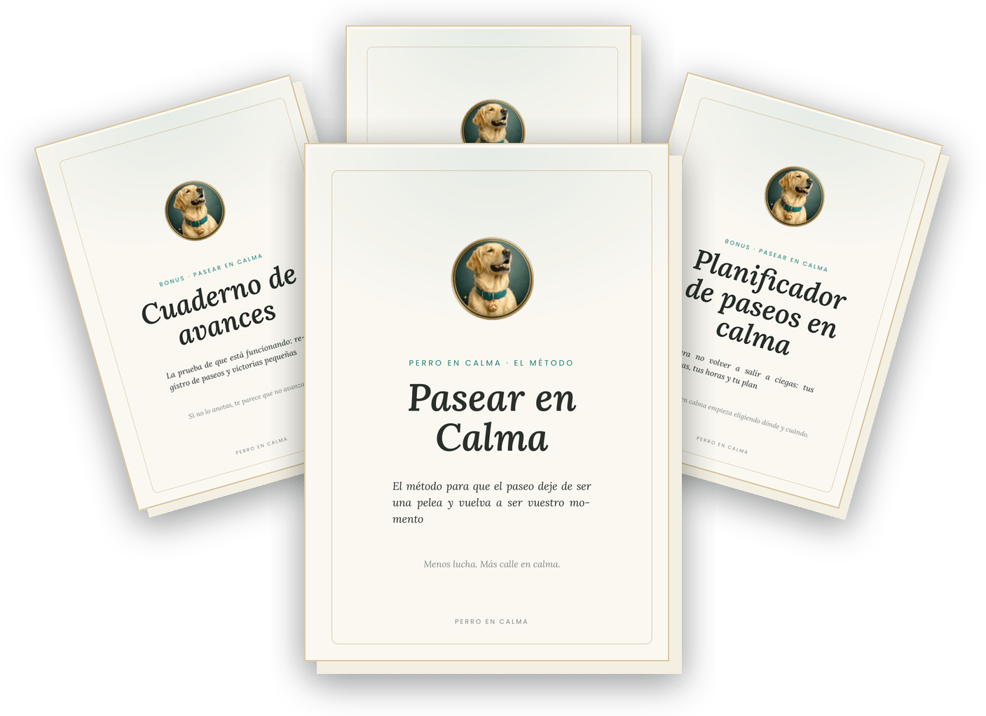 Guía Pasear en Calma + bonus