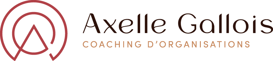 Axelle Gallois, Coaching d'organisations