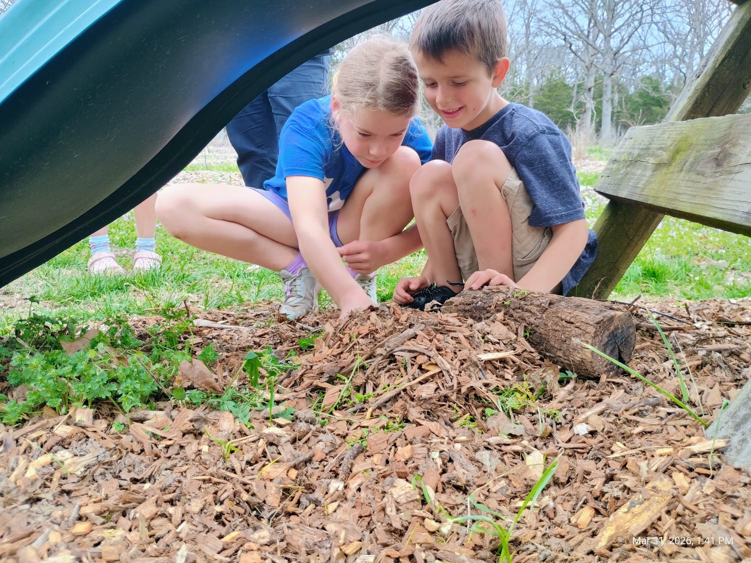 building frog house