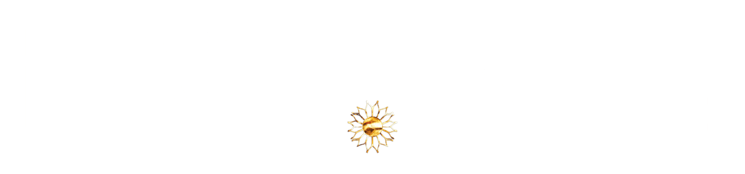 Site en cours de création