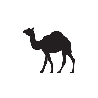 Clear Desert Safari Dubai Price
