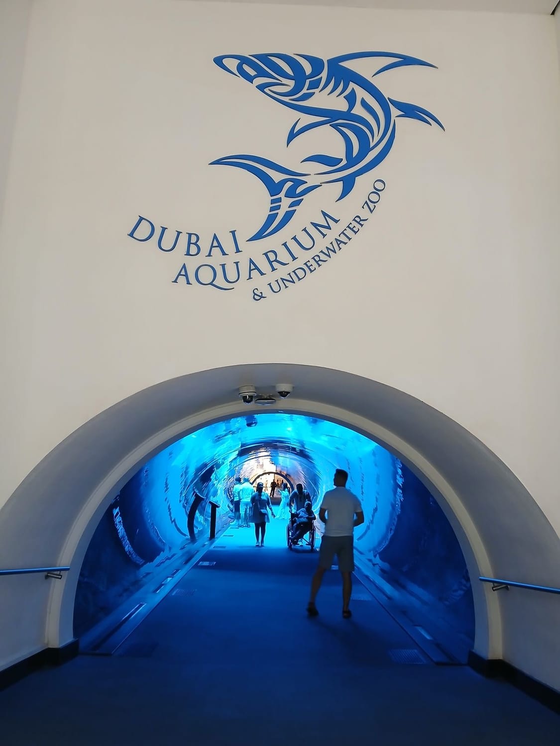 Dubai Aquarium Underwater Zoo Experience