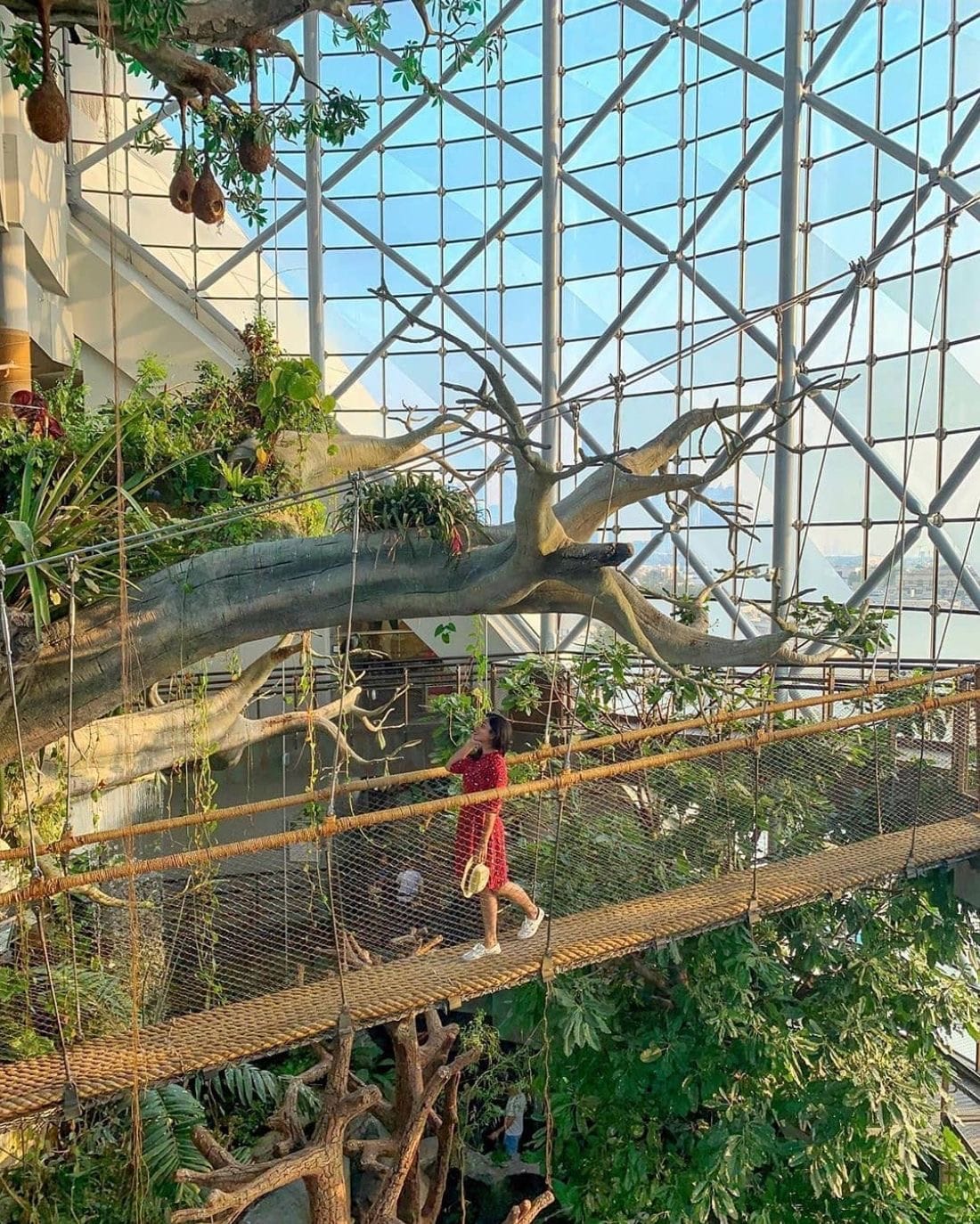 Green Planet Indoor Rainforest Dubai