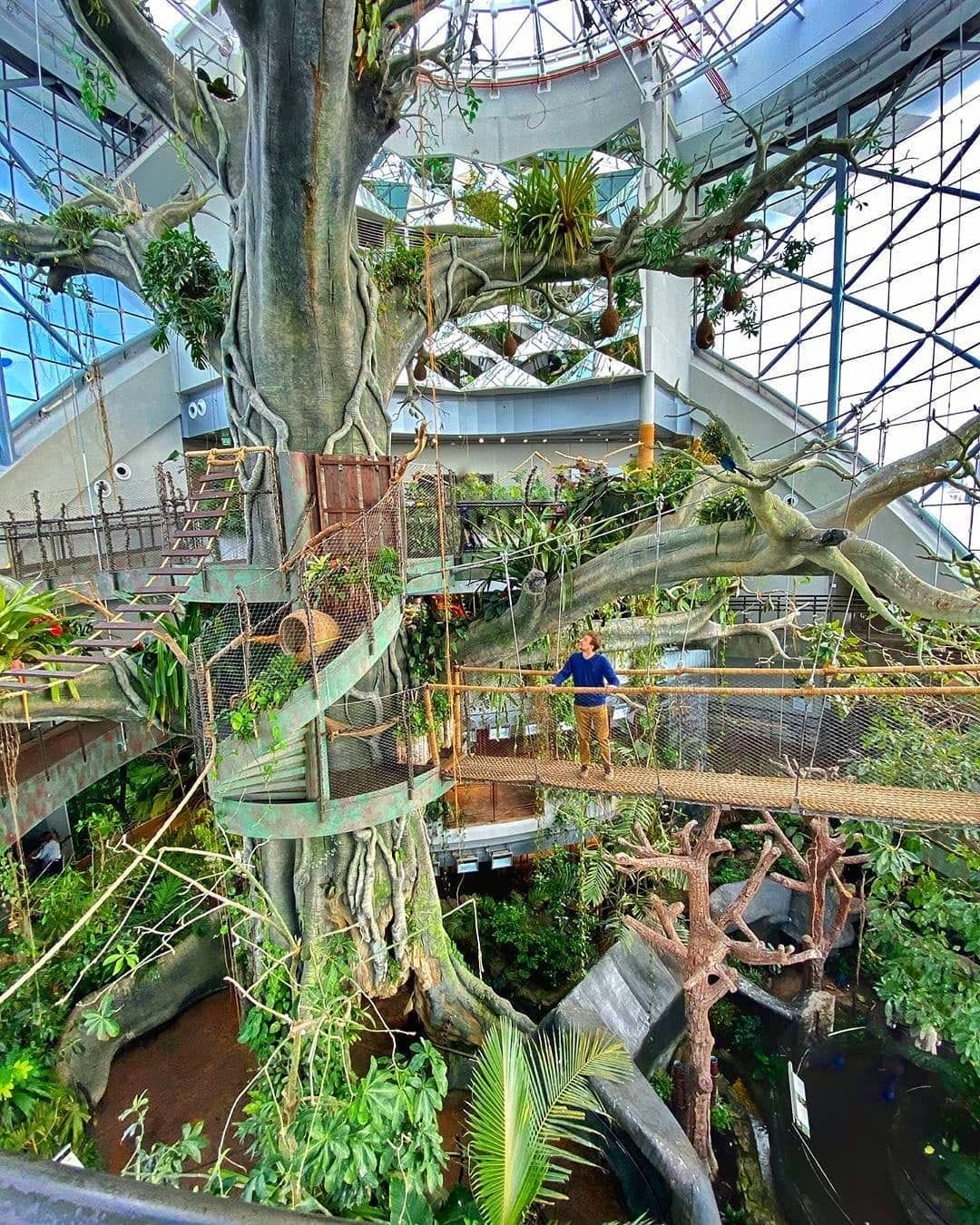 Green Planet Dubai Attraction