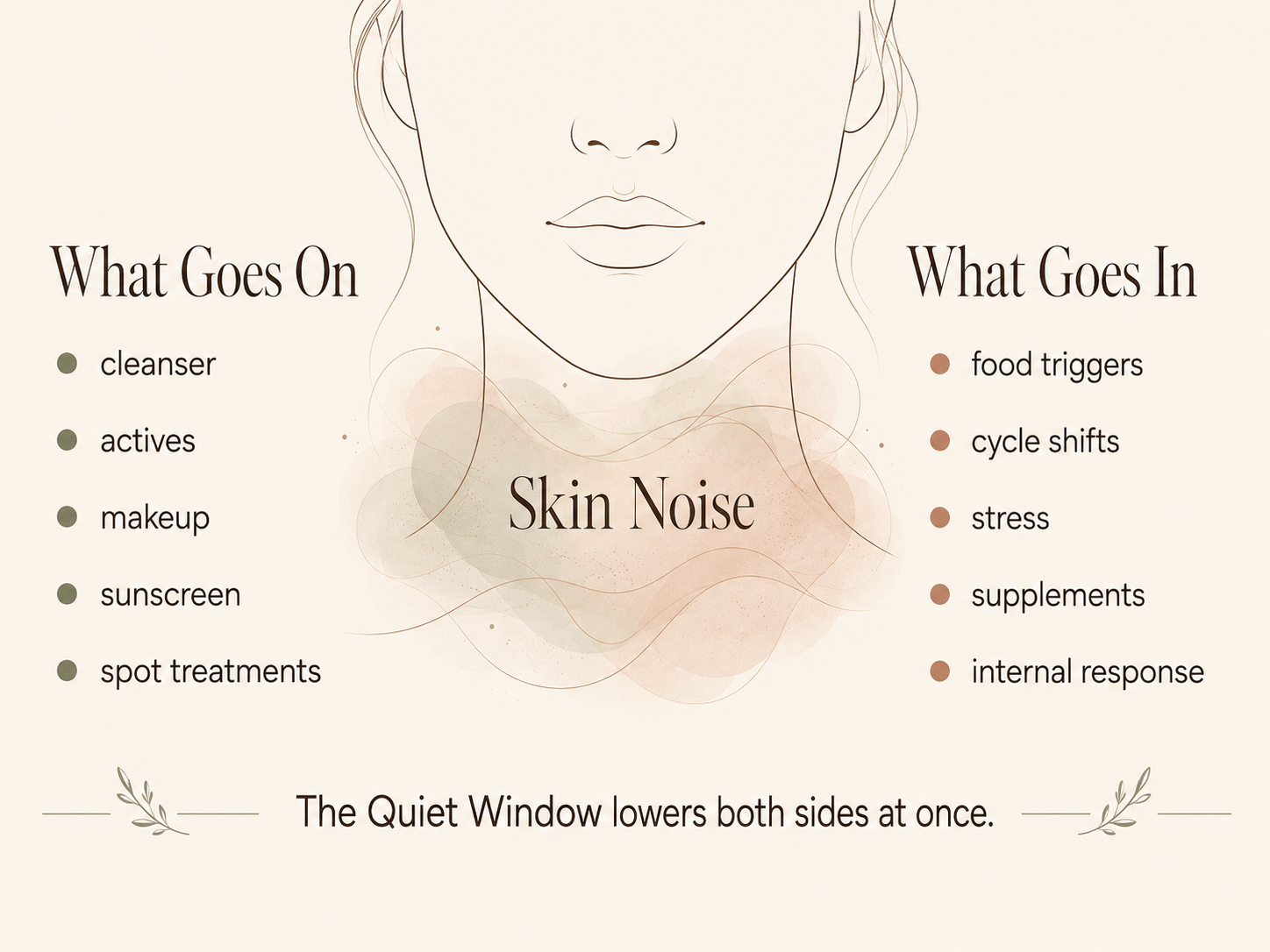Two-sided skin noise diagram showing what goes on the face and what goes into the body