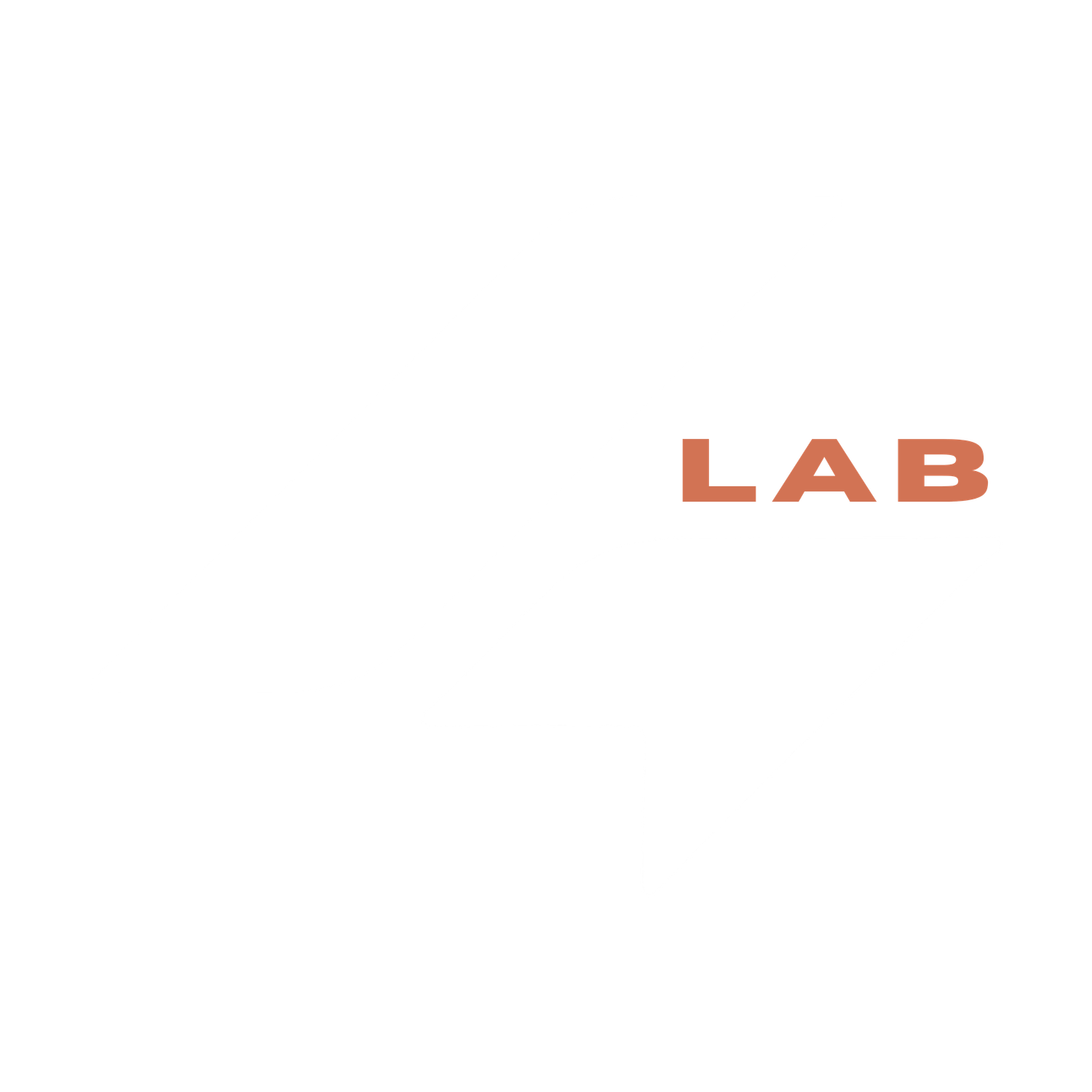 LeadMatch Lab