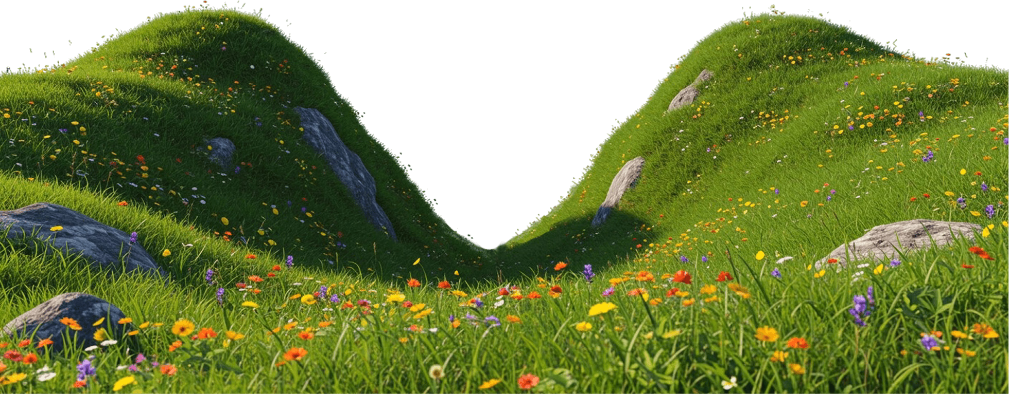 Decoration Image