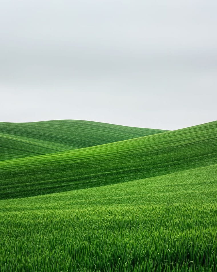 BG Image