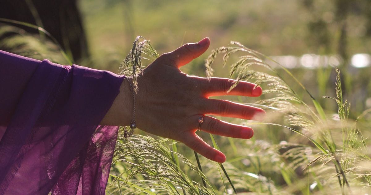 Photo dela main de Céline Captin avec un voile violet qui touche des graminés au soleil levant. Cette photo inspire le calme, la sérénité apporté par la médition offerte. Profonde tranquilité et respiration