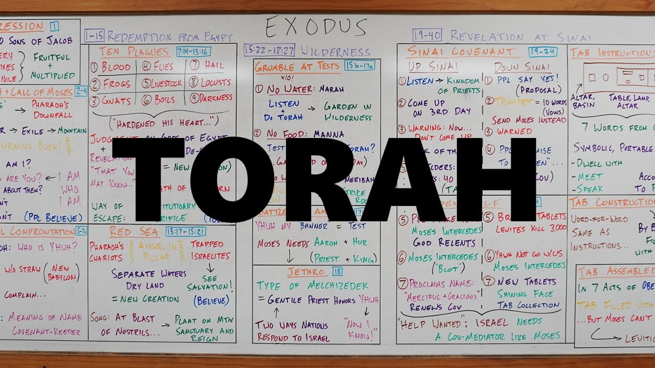 Torah Bundle