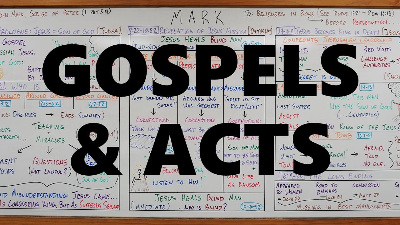 Gospels & Acts Bundle