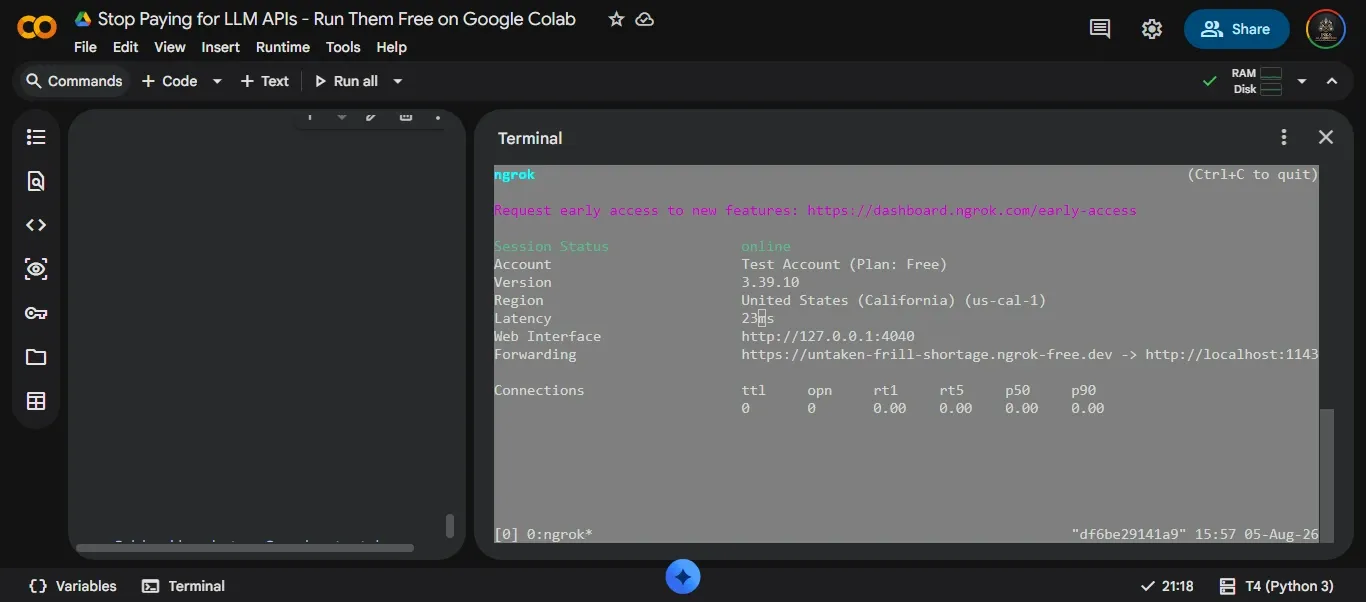 Ngrok terminal output showing the active tunnel with forwarding URL highlighted