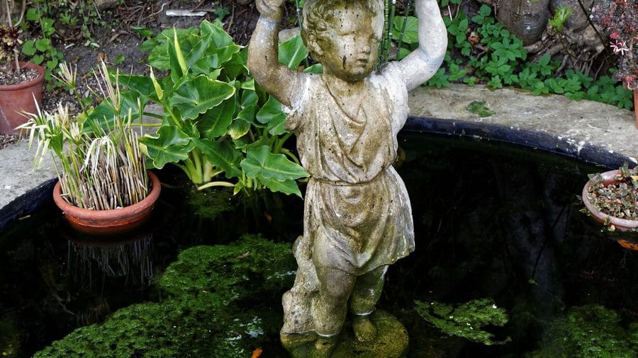 A garden bird bath beside an ornamental pond