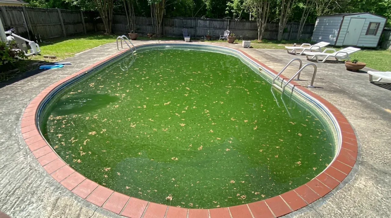 A South African swimming pool completely green with algae bloom before ActivatorD treatment