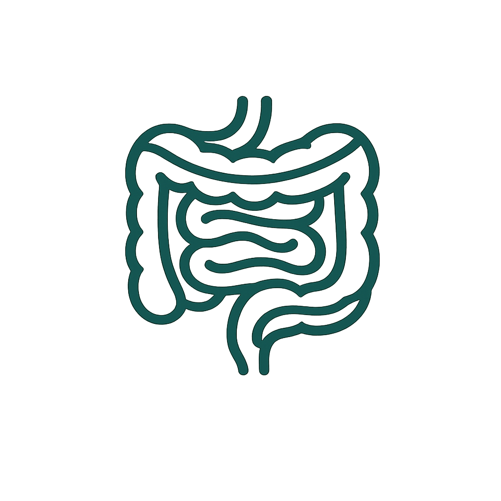 Digestion