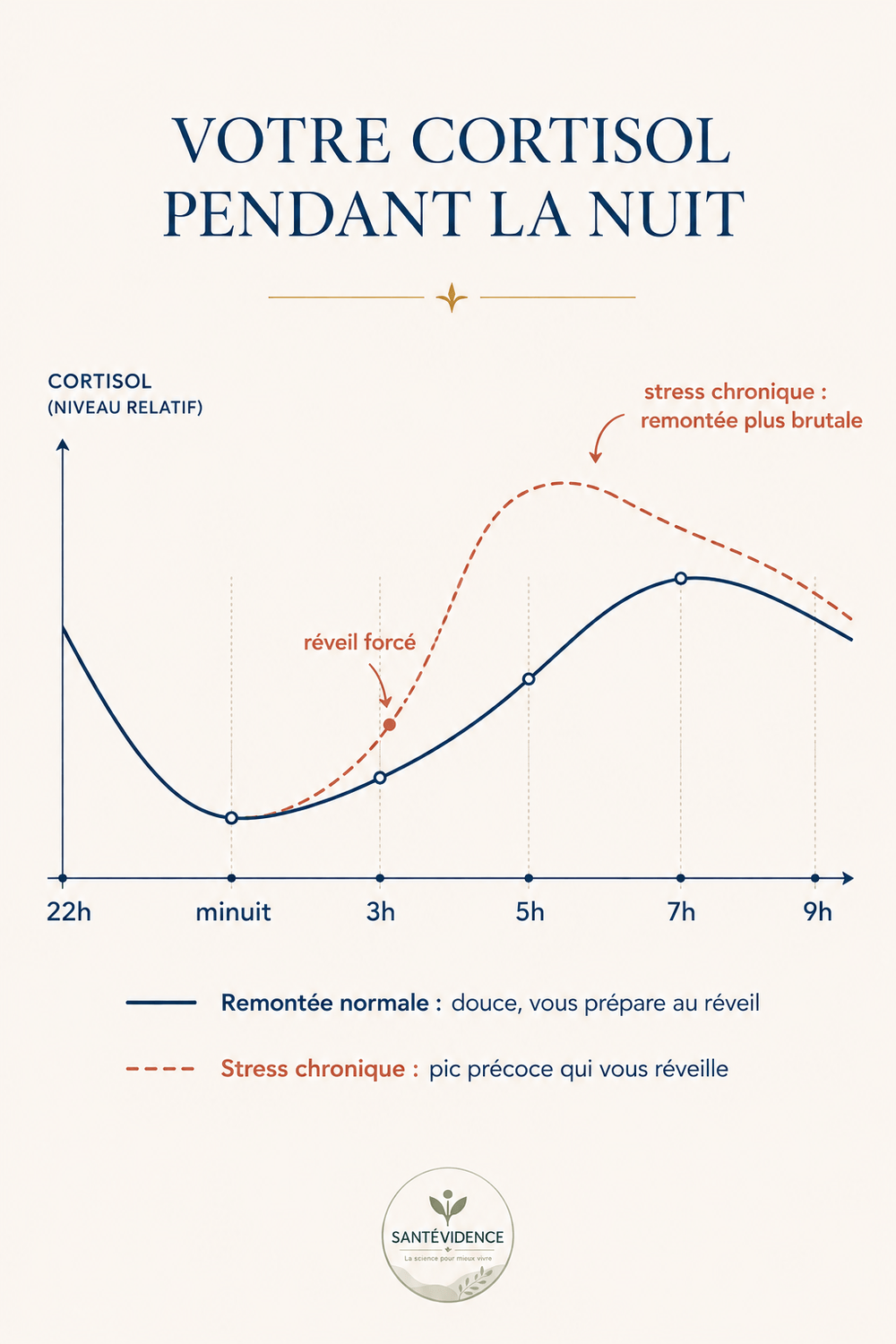 Courbe du cortisol pendant la nuit : remontée normale vs stress chronique