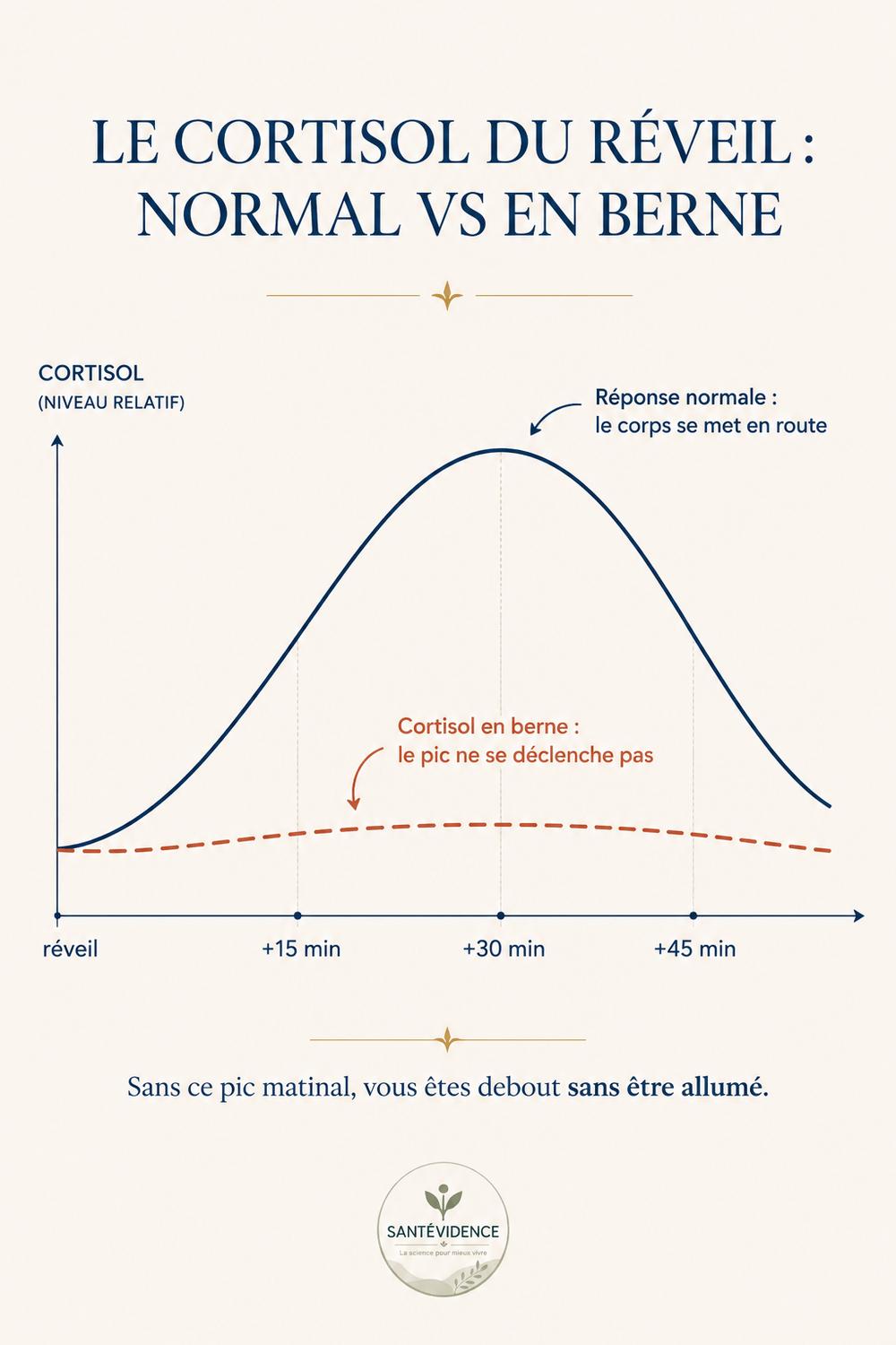 Courbe du cortisol au réveil : réponse normale vs cortisol en berne
