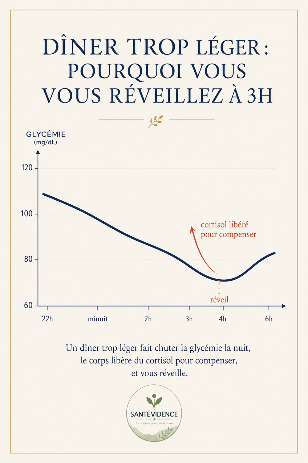 Courbe de glycémie après un dîner trop léger : chute nocturne et réveil 3h-4h par libération de cortisol