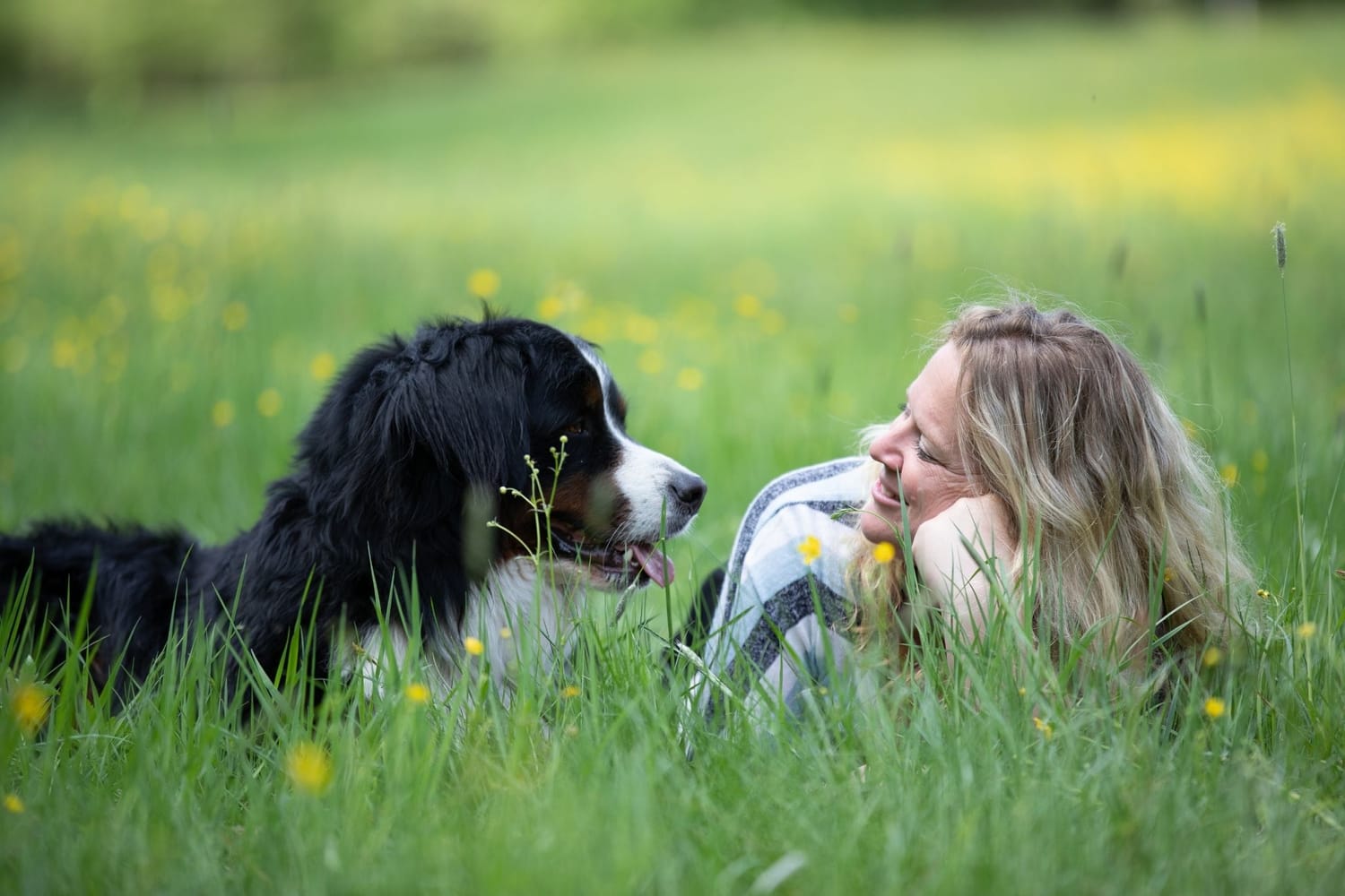 Entspannt unterwegs mit dem Hund