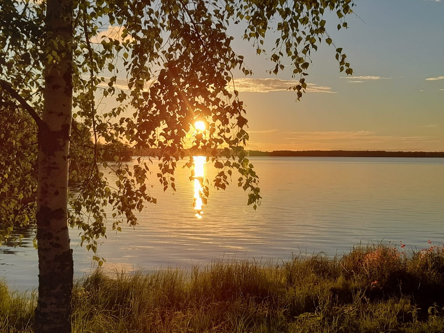 Rauhallinen järvimaisema Peltolahdessa