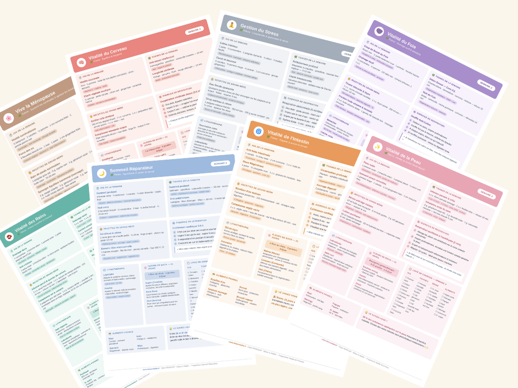Les fiches des 11 programmes de 21 jours