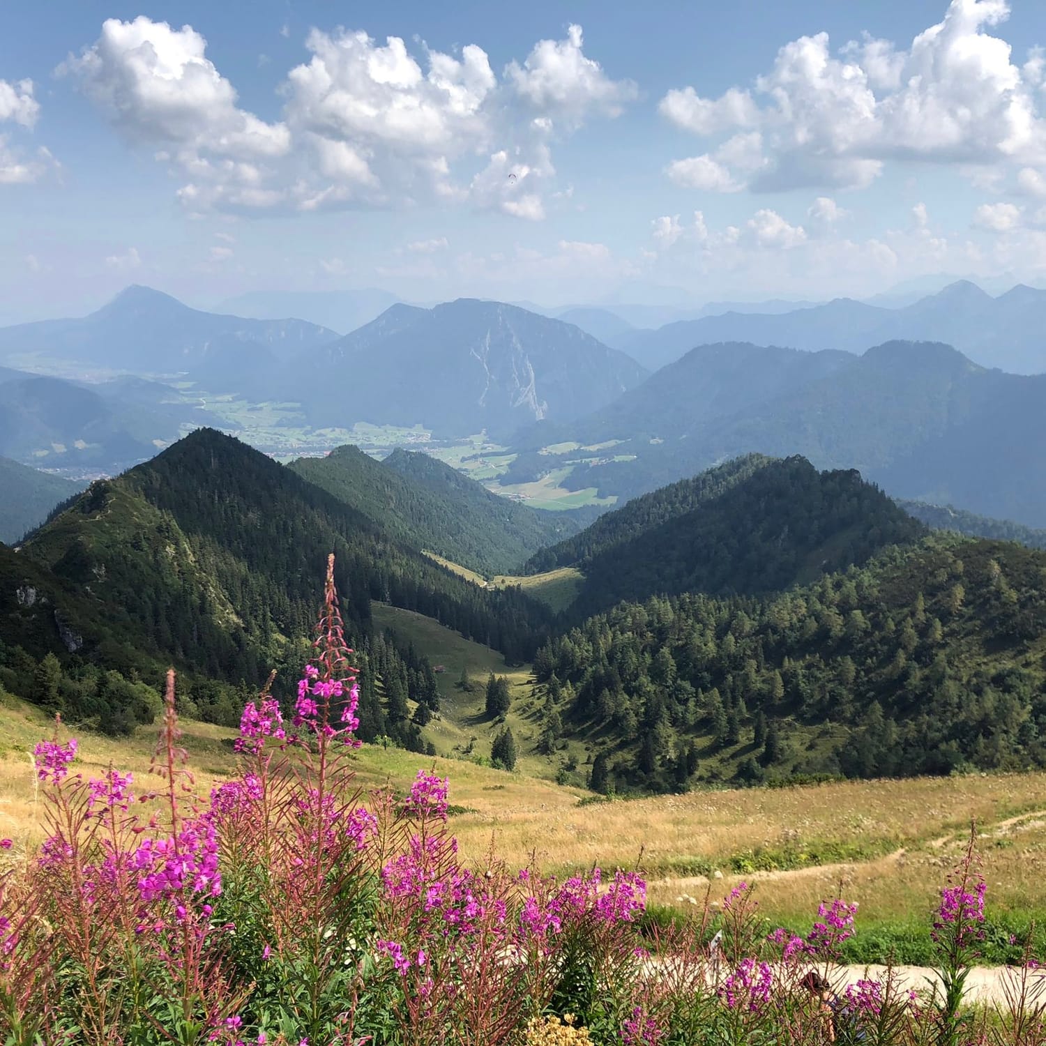 Die Natur der Alpen lädt zum achtsamen Nature Writing ein.