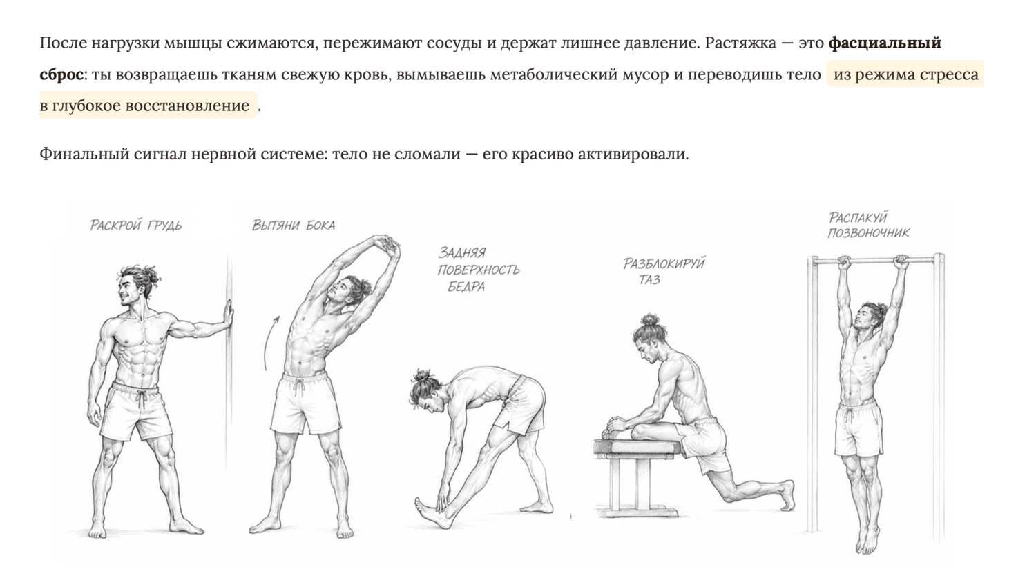 Страница тренировки и растяжки — Формула 9:30 из курса CHEAT CODES