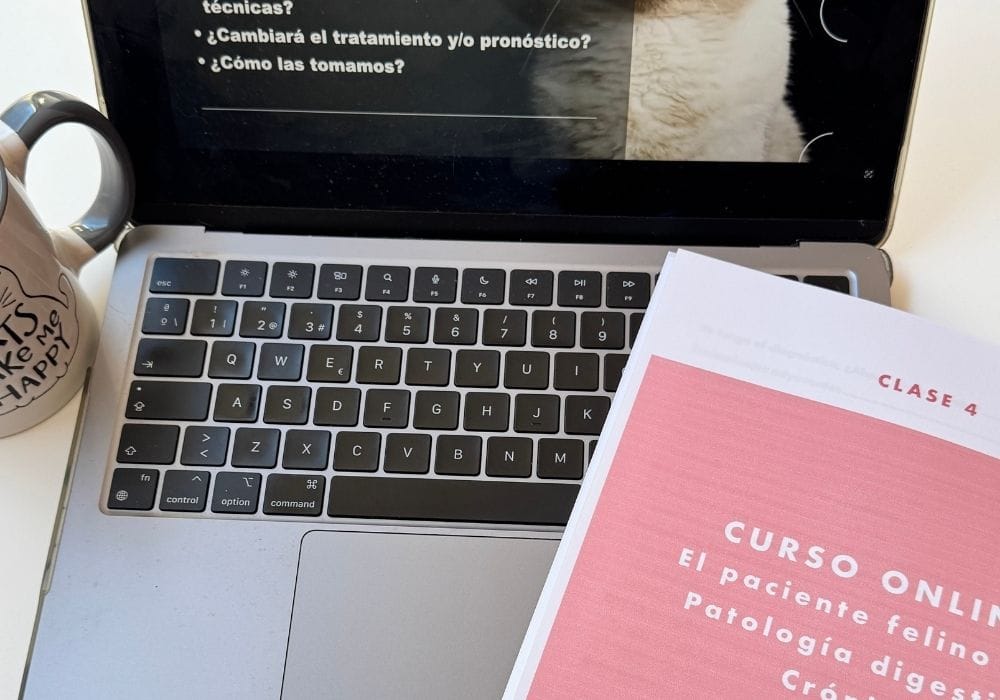 Workbook del curso de enteropatías crónicas felinas