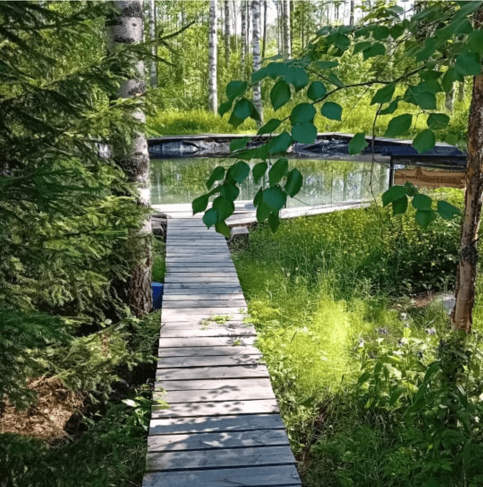 Vellamon lähde savusaunan takana.
