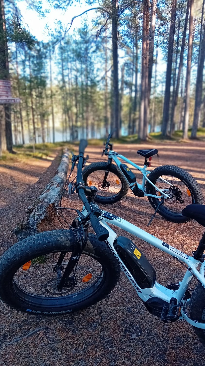 Vuokrattavat sähköpyörät luonnon keskellä.