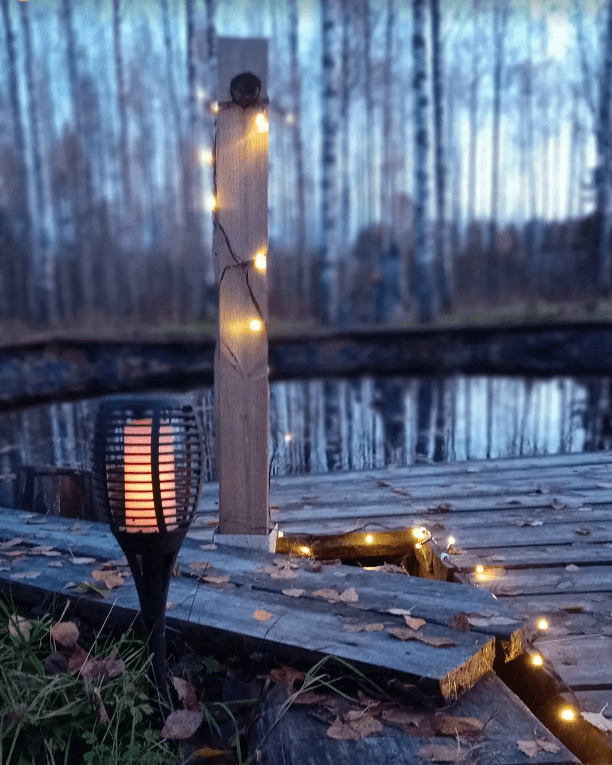 Vellamon lähde syksyisessä iltahämärässä Louhin Turvetuvalla.