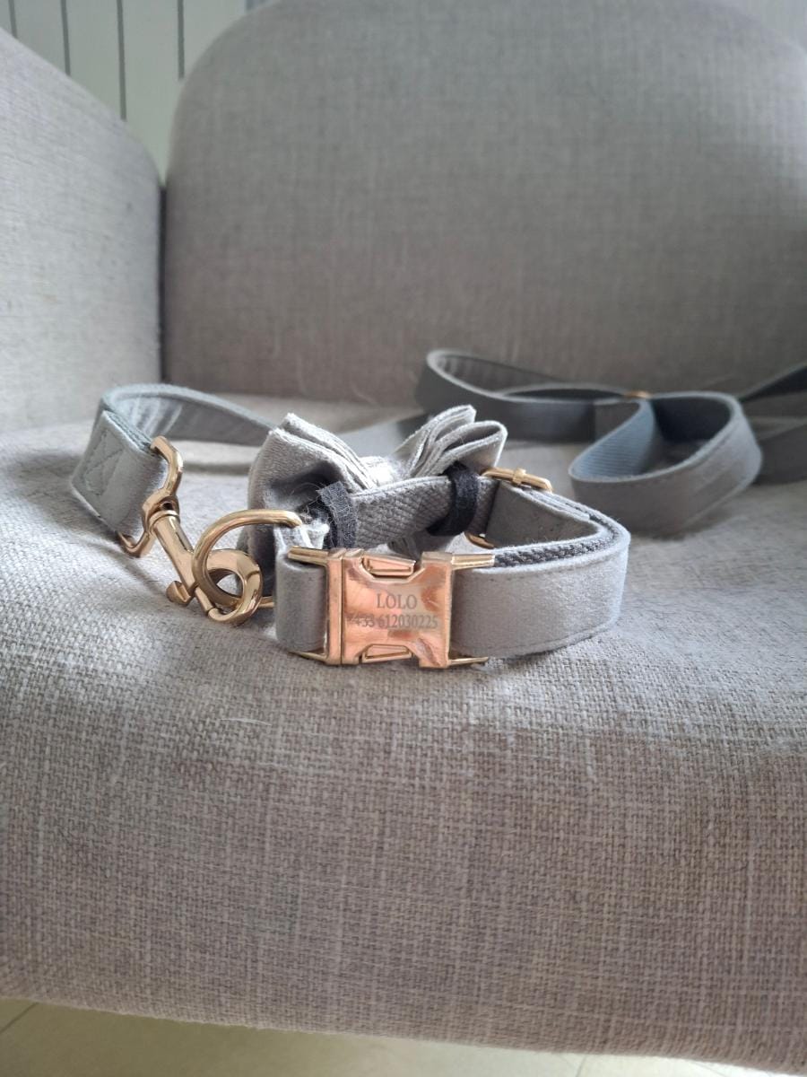 Brume grey velvet dog leash from the Nœud Papillon collection by Aïda Dog Coach