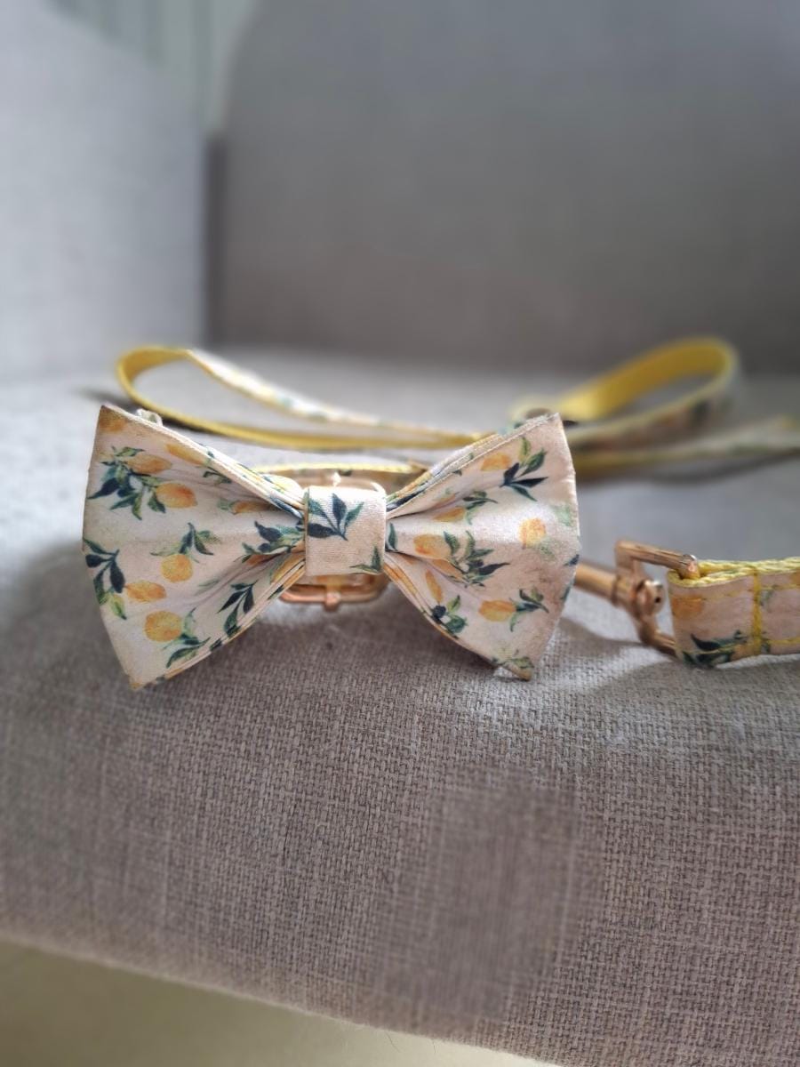 Citrus dog leash featuring a joyful yellow lemon print