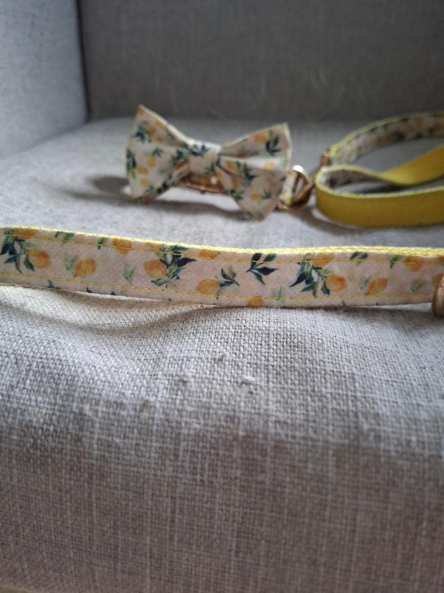 Citrus dog leash featuring a joyful yellow lemon print