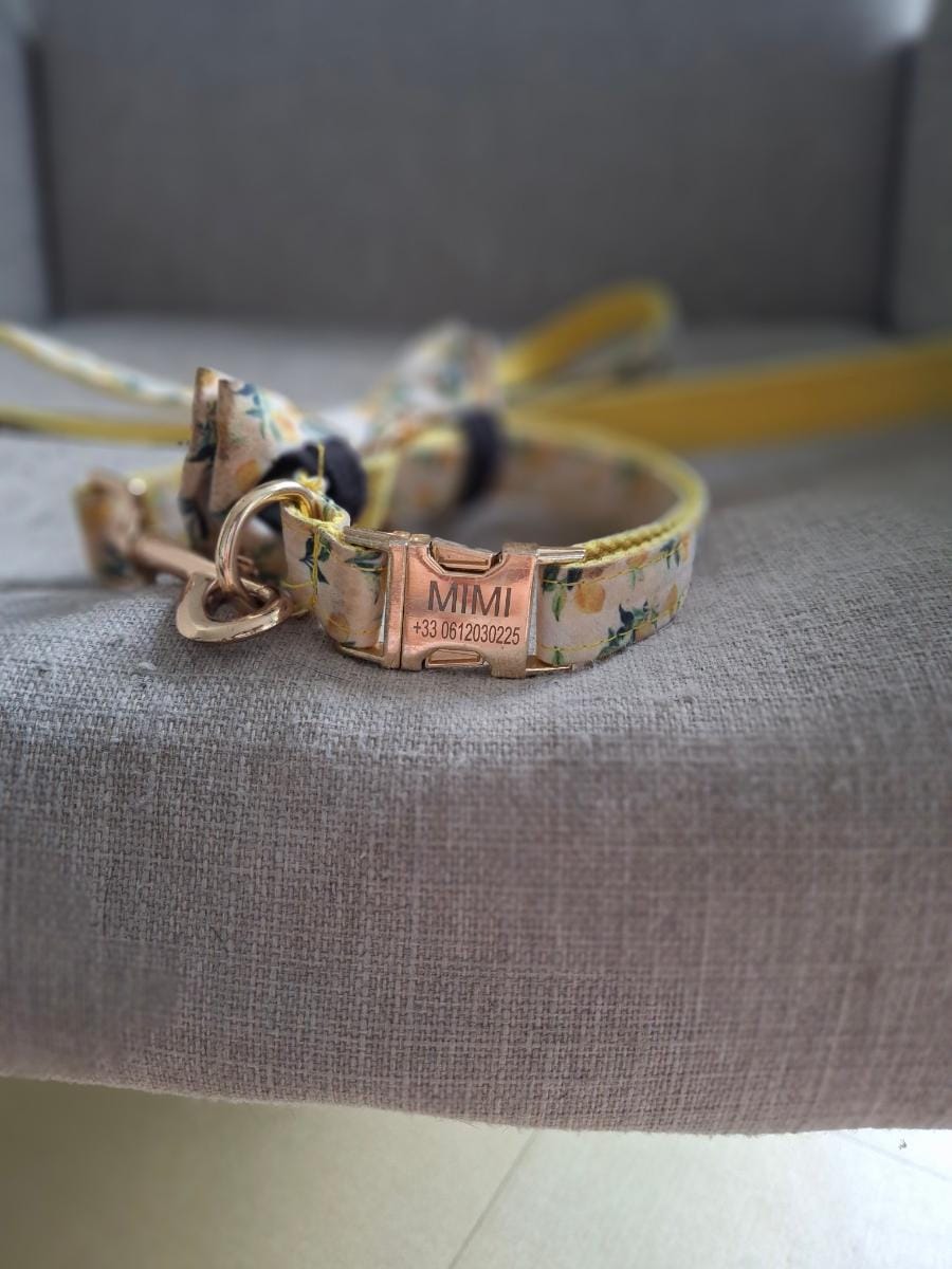 Citrus dog leash featuring a joyful yellow lemon print