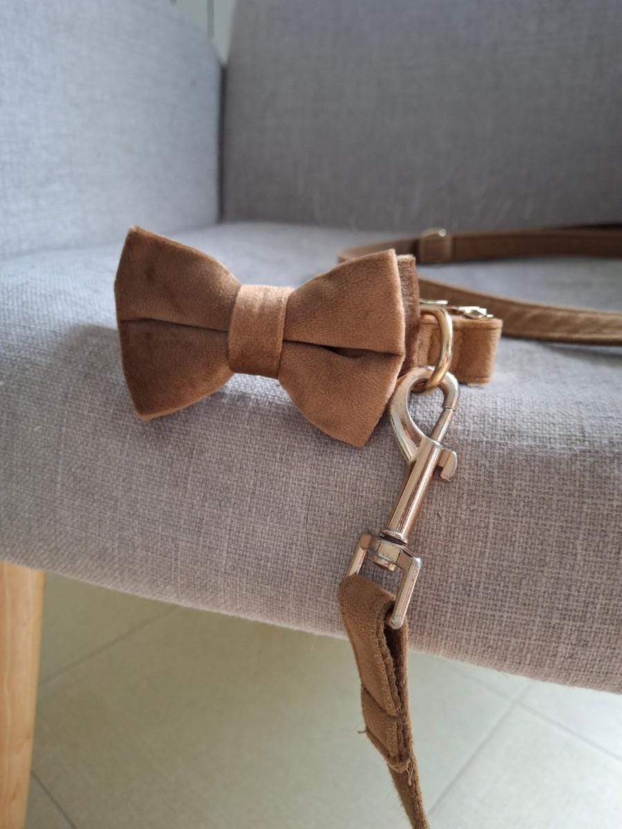 Noisette classic brown velvet dog leash by Mimi and Lolo