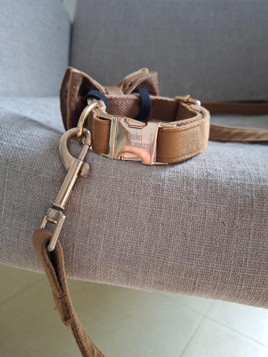 Noisette classic brown velvet dog leash by Mimi and Lolo